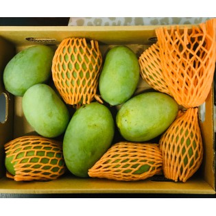 Langra Indian Mangoes 3.2Kg (12pcs)