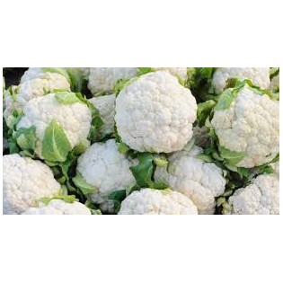 (Fresh) Cauliflower Per Piece