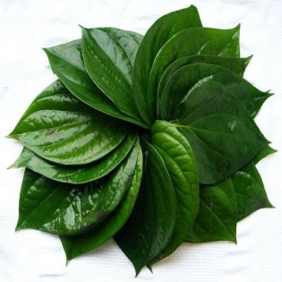 (Fresh) Paan Leaves (Betel Leaf) Per kg